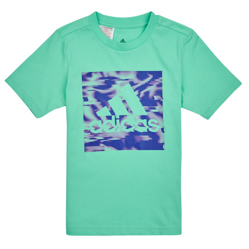 Adidas Sportswear - AKD GT - Vert