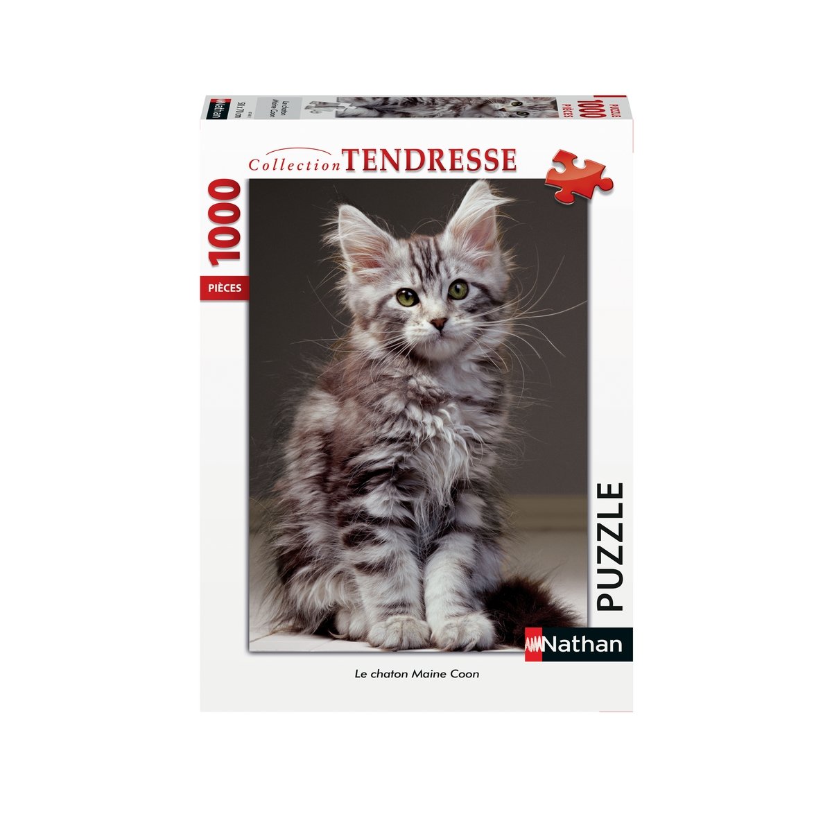 Puzzle 1000 Pièces Nathan - Le chaton Maine Coon