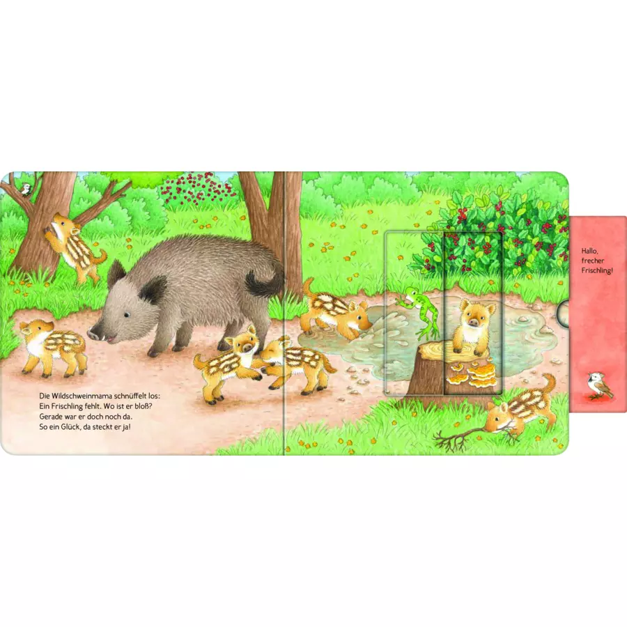 Ravensburger Wer hat sich hier versteckt? Suche die Waldtiere