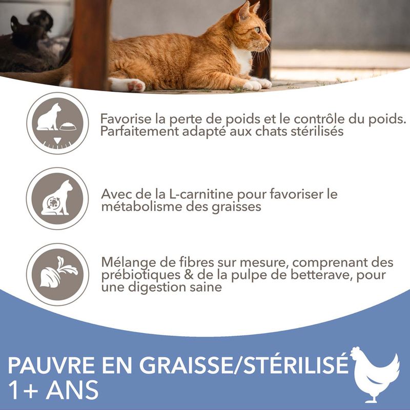 IAMS Advanced Nutrition Adult Sterilised poulet pour chat