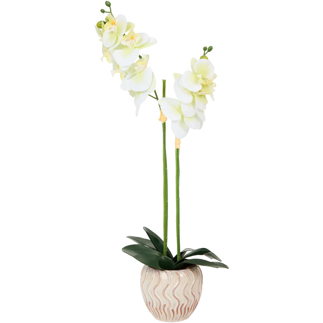 The Hamptons Collections HOME orchidee in pot 52 cm | diverse kleuren