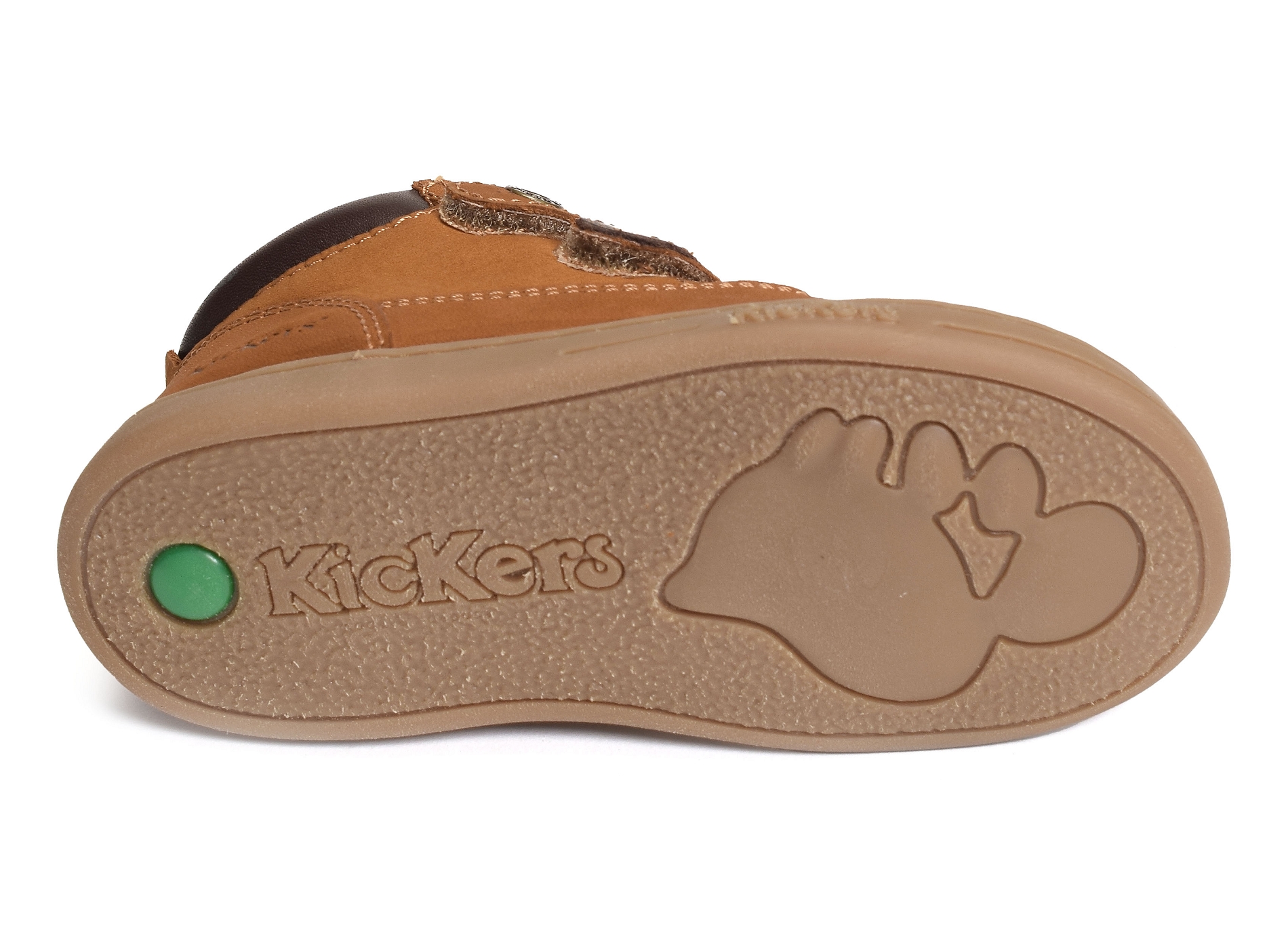 Tackeasy camel