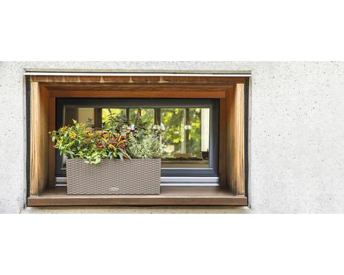 Lechuza Balconera Cottage bloembak 50cm zand