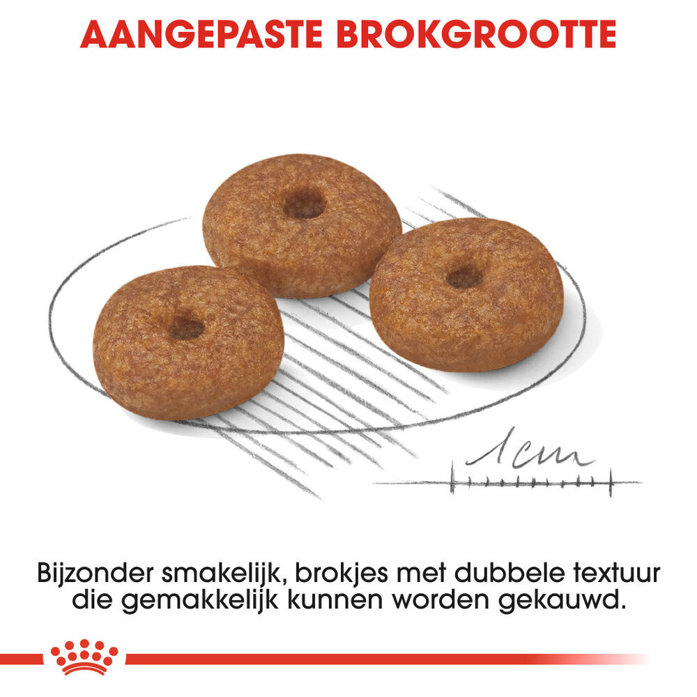 Royal Canin Mini Ageing 12  - Hondenvoer - 800 Gram - gevogelte