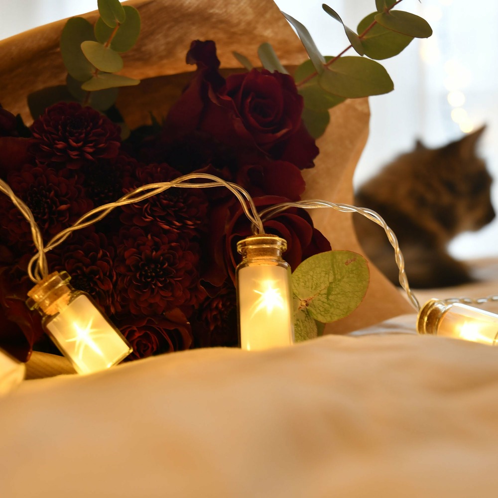 Guirlande little vintage holo à piles - led blanc chaud - chromex