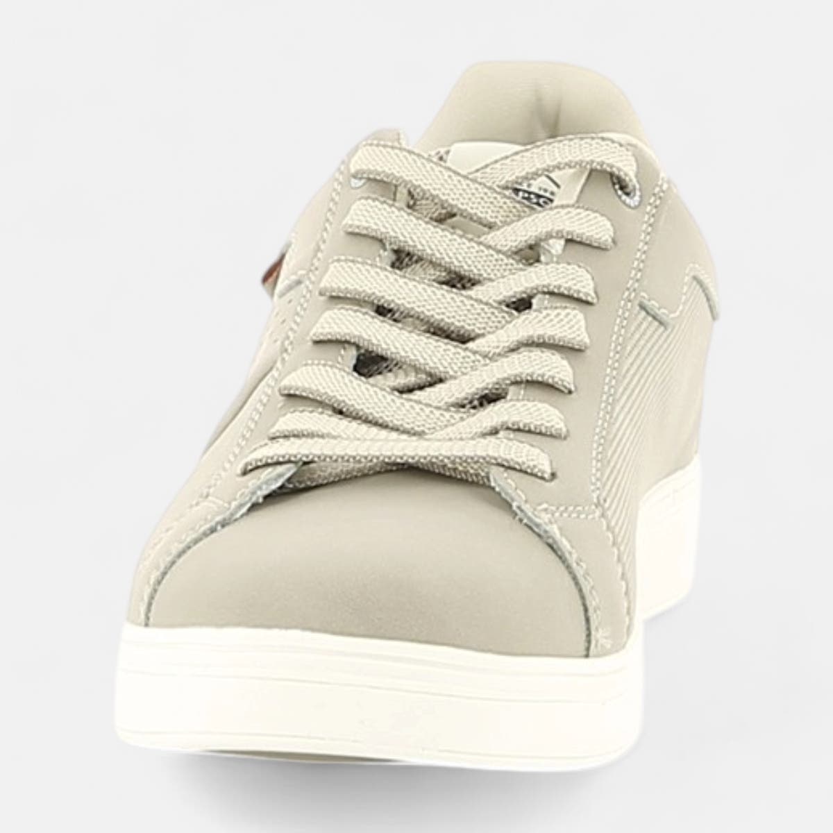 Baskets basses Homme beige