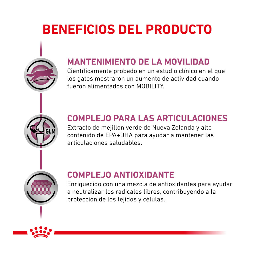 Ração Royal Canin Veterinary Mobility para gatos