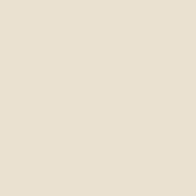Peinture extérieure Ecran+ Fer protection antirouille Dulux Valentine brillant blanc crème RAL 9001 0,5L