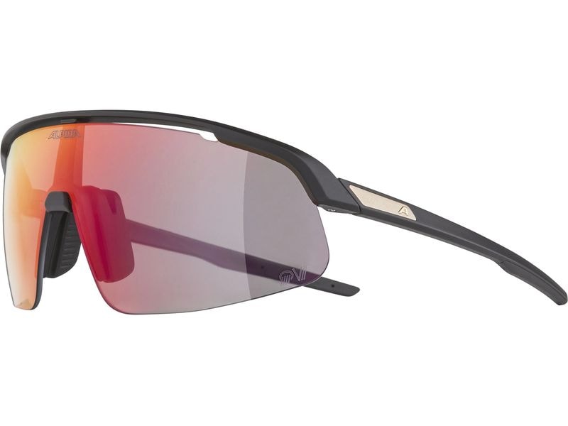 alpina Sportbrille Turbo Pro S QV - Schwarz matt Velobrille Cat. 1-3