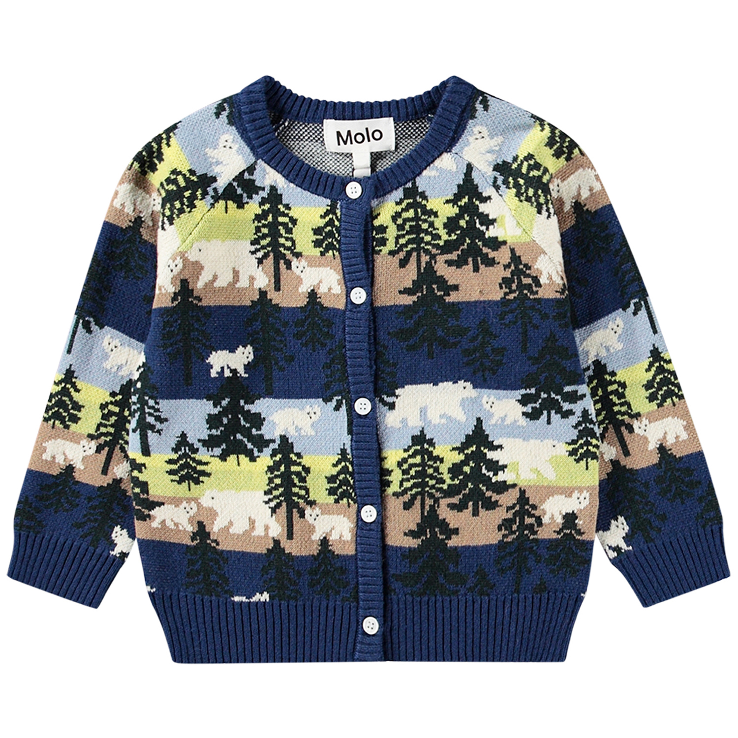 Brody - Forest Bears