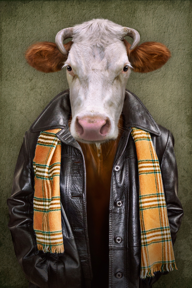 Akustikbild RIND LEDERJACKE 80x120cm, 7kg