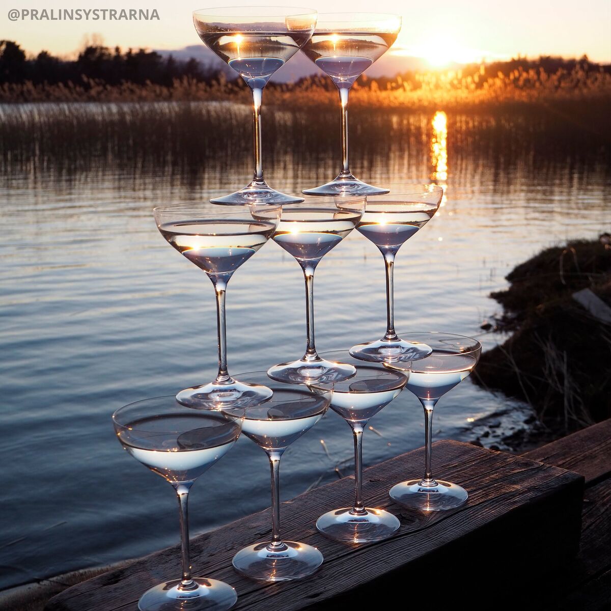 Champagneskål 4-pk