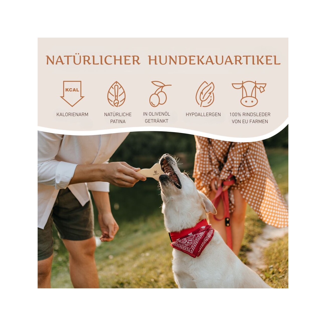 Wildfang Paket 