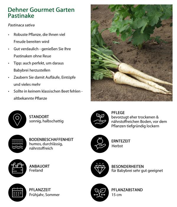 Dehner Gourmet Garten Pastinake