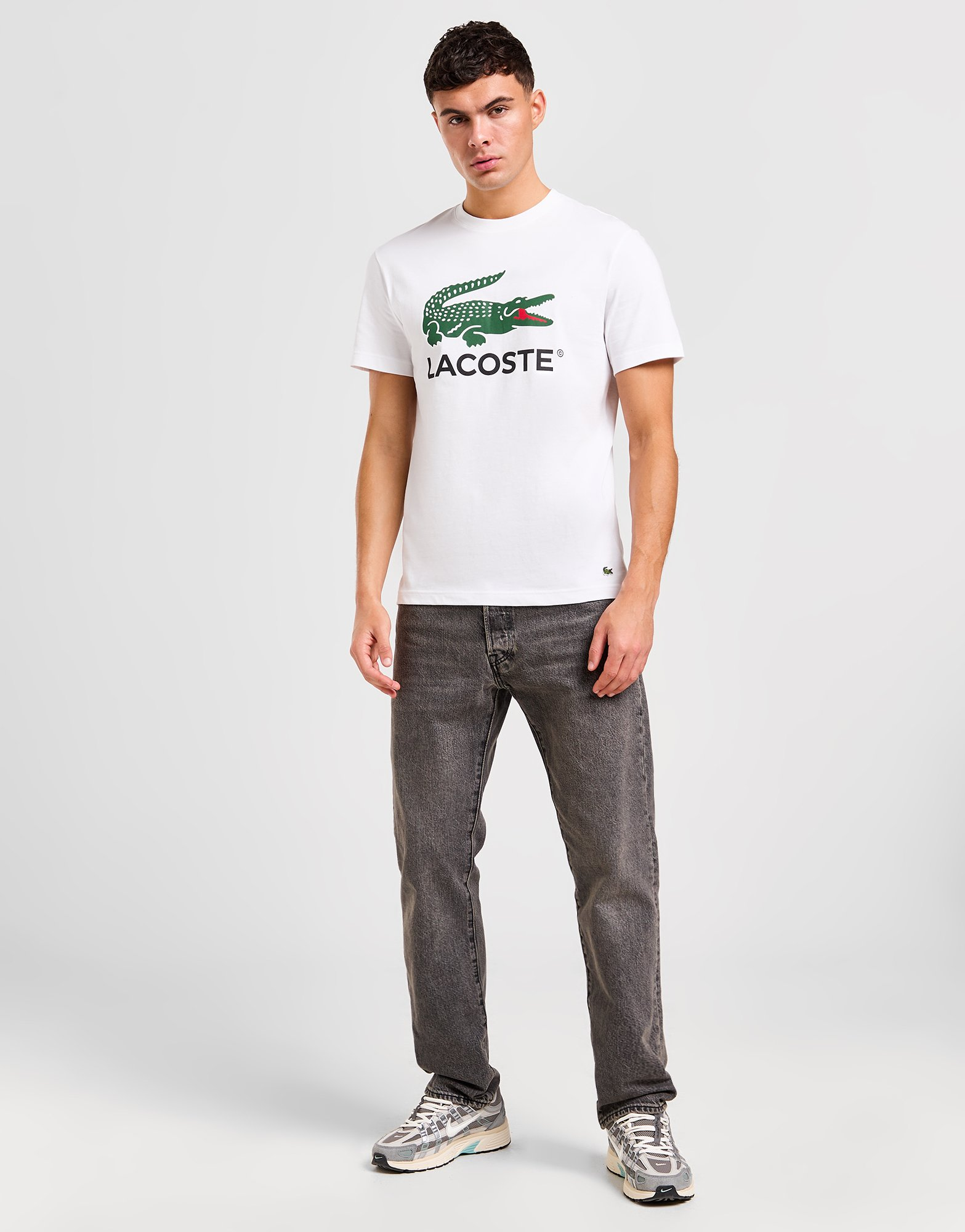 Lacoste T-shirt Homme