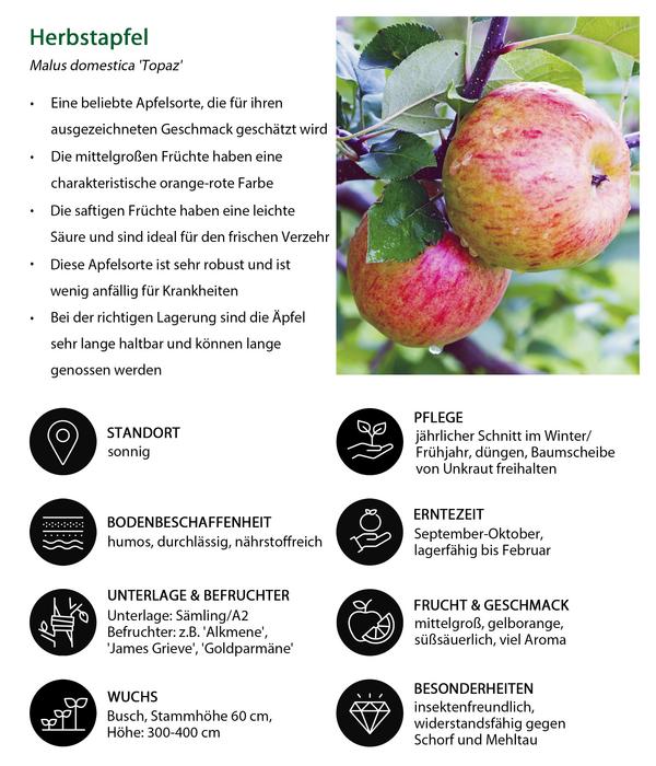Herbstapfel 'Topaz'