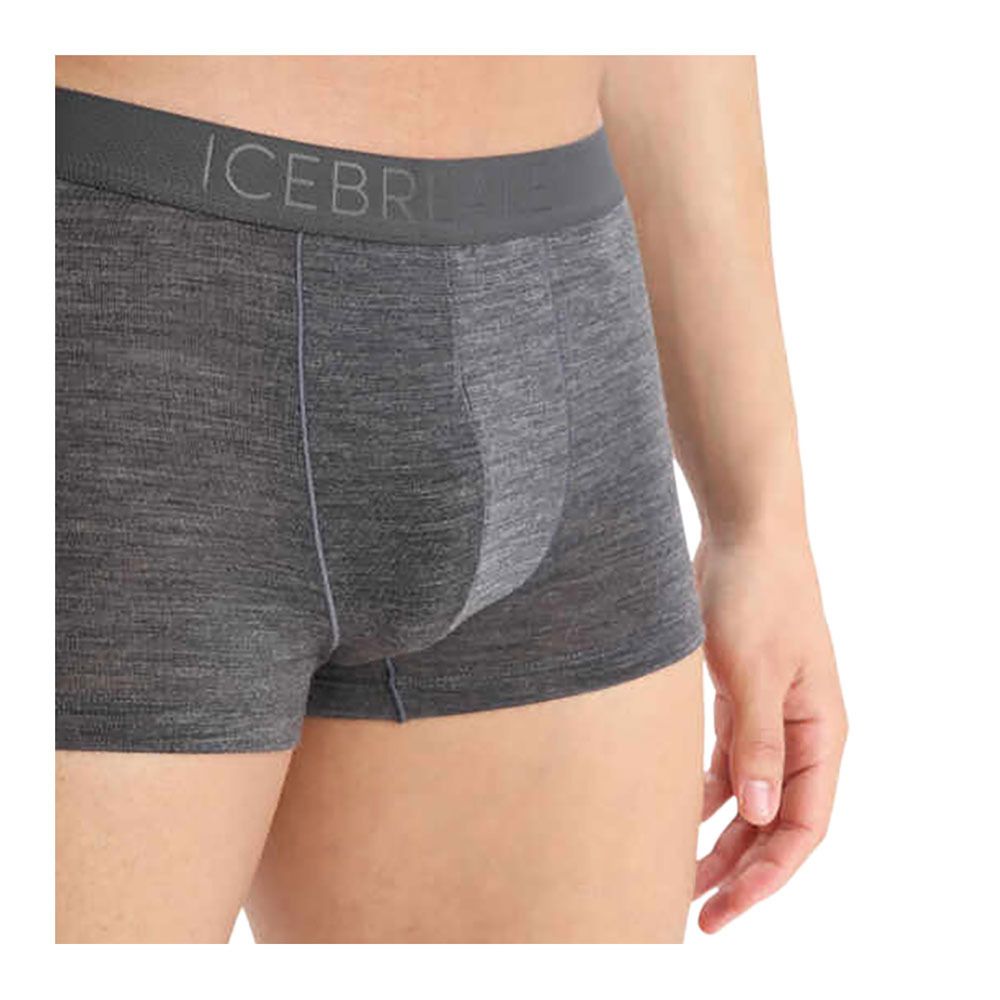 Icebreaker ANATOMICA COOL-LITE - Boxer Homme monsoon hthr