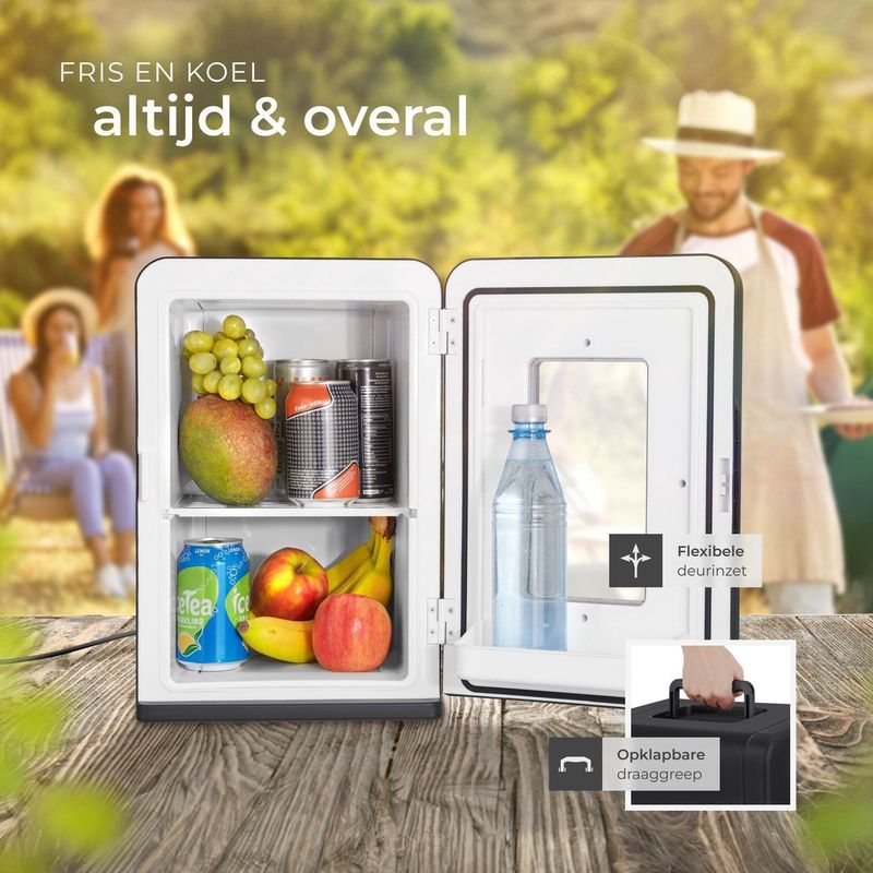 tectake® Mini-Autokoelkast - Draagbare Minibar - 14L - 2-in-1 Functie - Koelen en Verwarmen