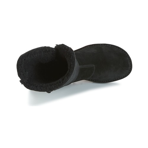 El Naturalista - RICE FIELD - BLACK