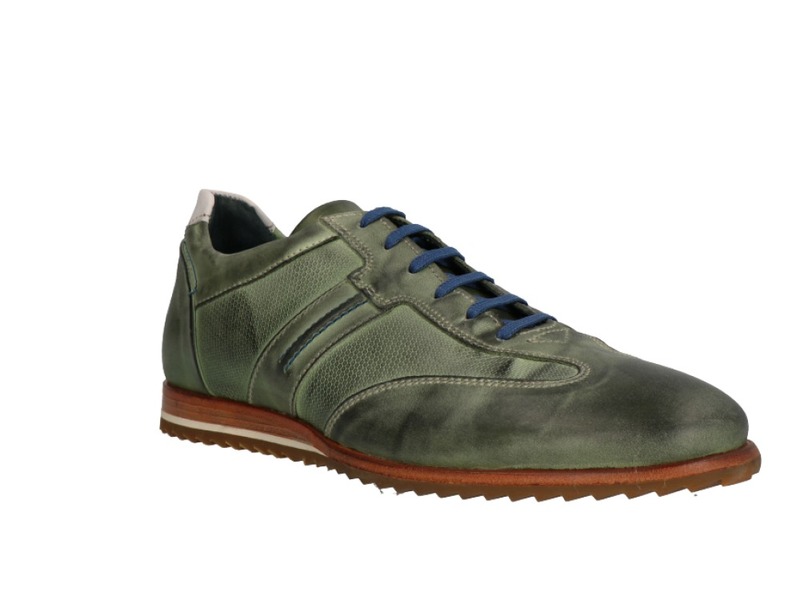 Will Lester 36305 Groen