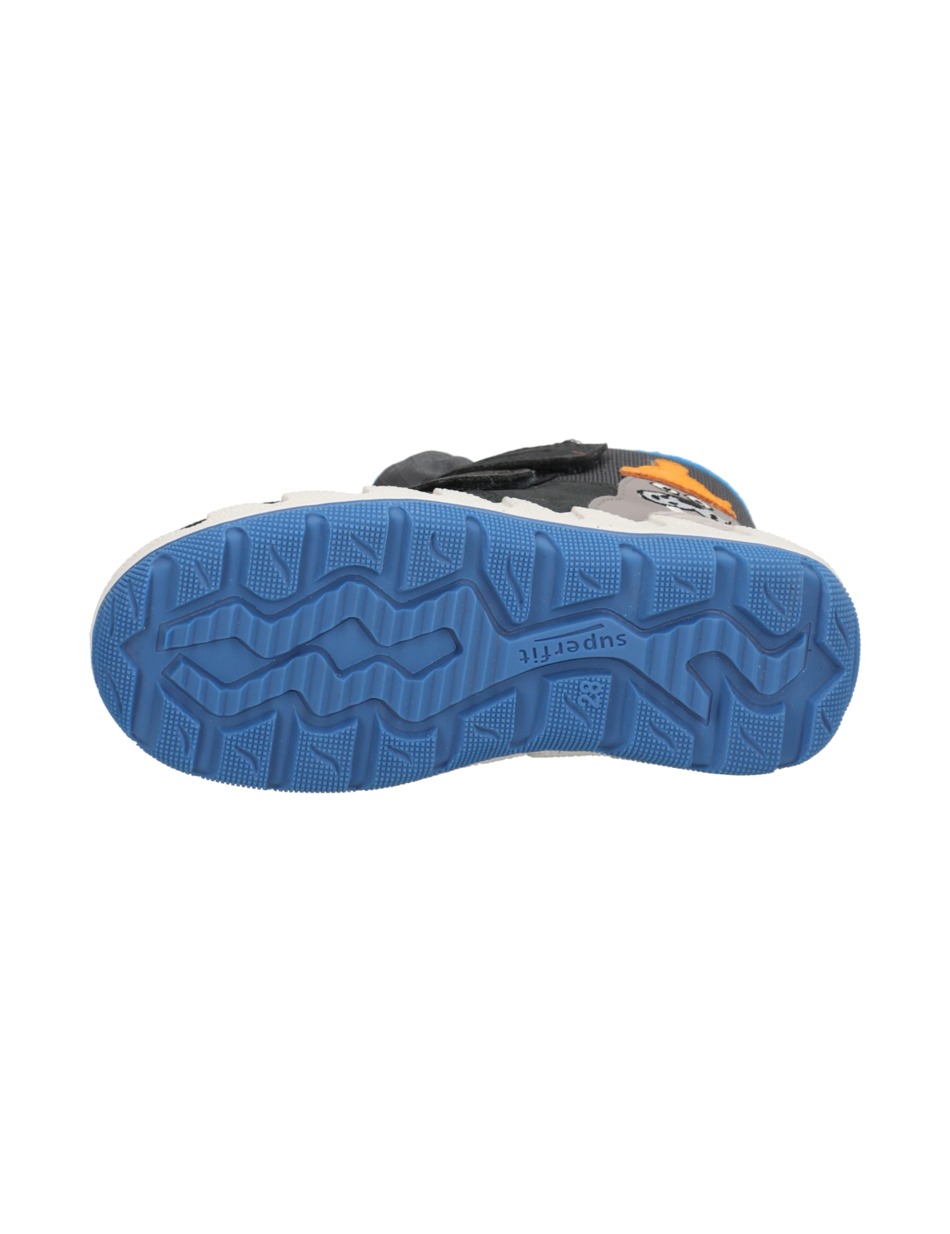 ICEBIRD