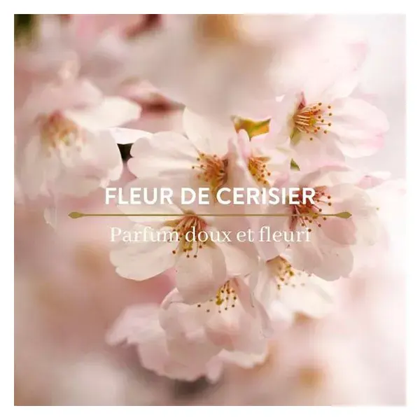 Creme de Banho Flor de Cerejeira Le Petit Olivier 500ml