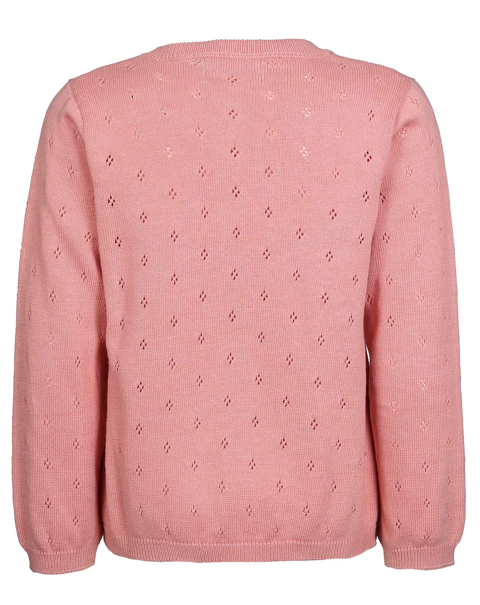 Strickjacke MAIA in rosette