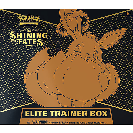 Pokémon TCG: Sword & Shield – Shining Fates Elite Trainer Box