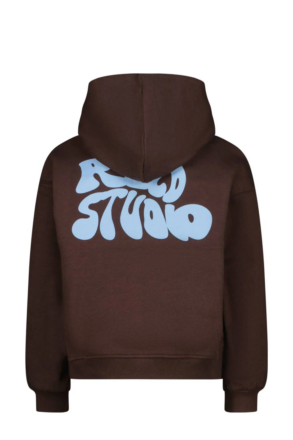 Raizzed hoodie donkerbruin