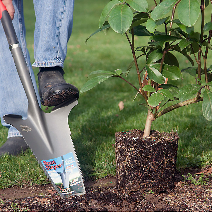 Bêche à massif Root Slayer avec lame en acier
