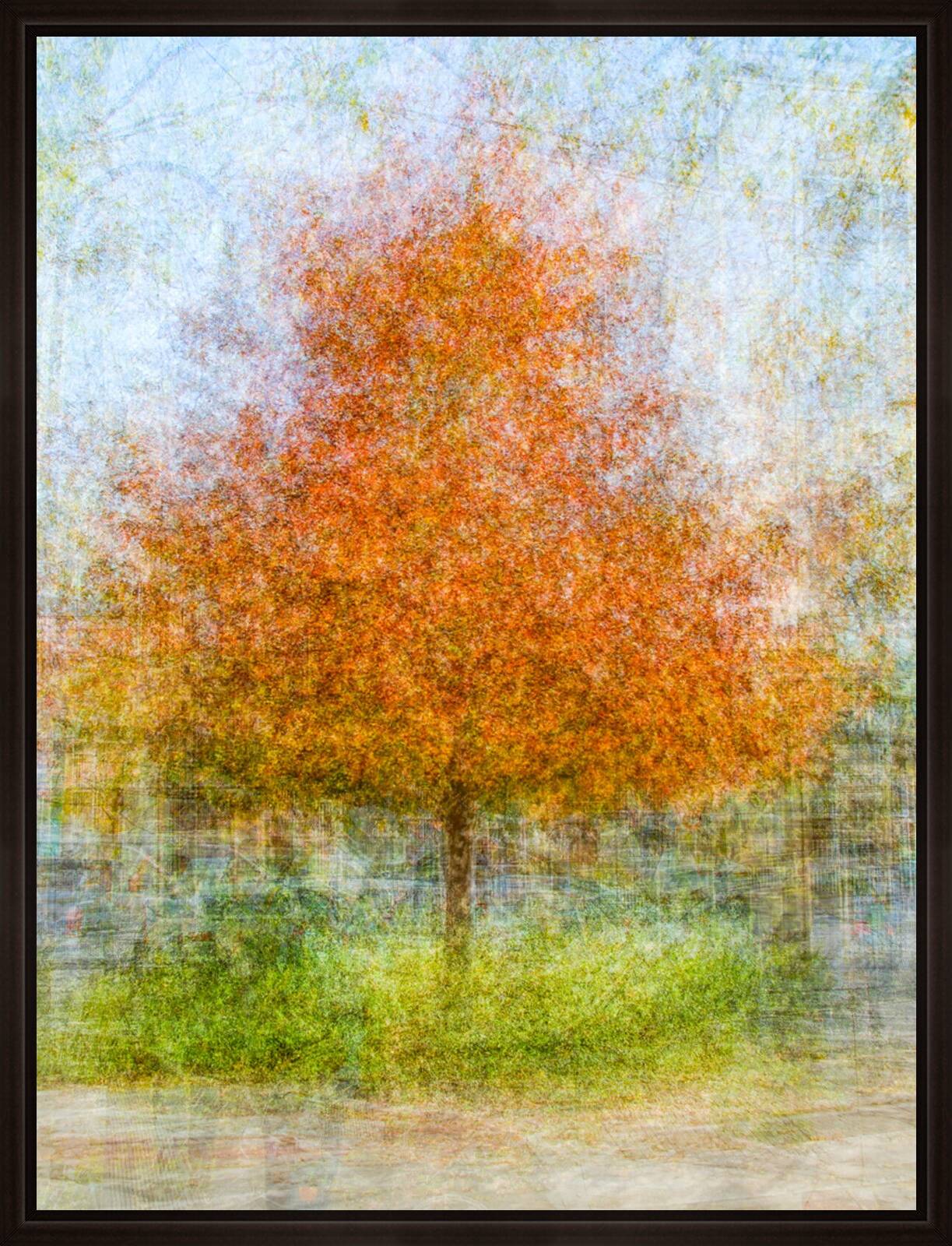 Santa Cruz, Eleven by Pep Ventosa - Limited Edition. Edition of: 150. Signed.