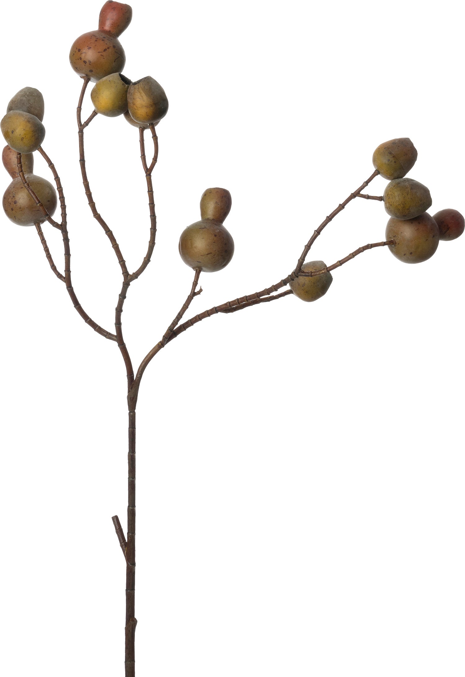 Intratuin kunstbloem Klaproos groen bruin 60 cm