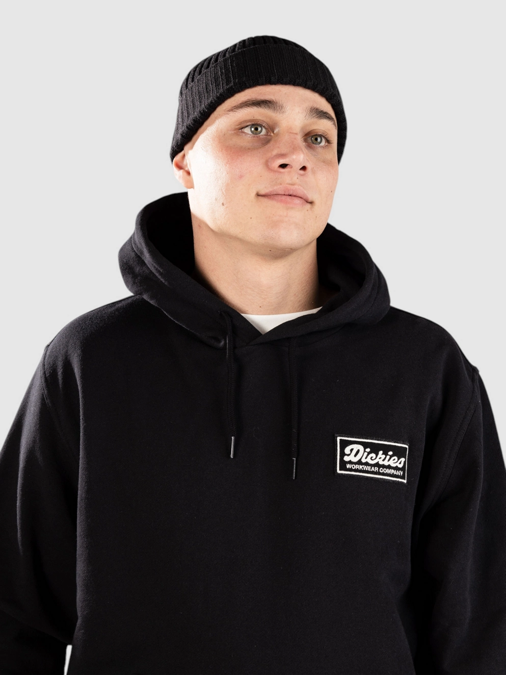 Dickies Lewistown Hoodie black