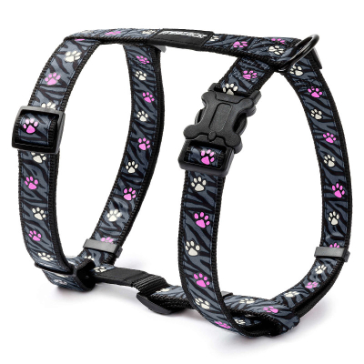 Freezack Asti Glow bone Geschirr