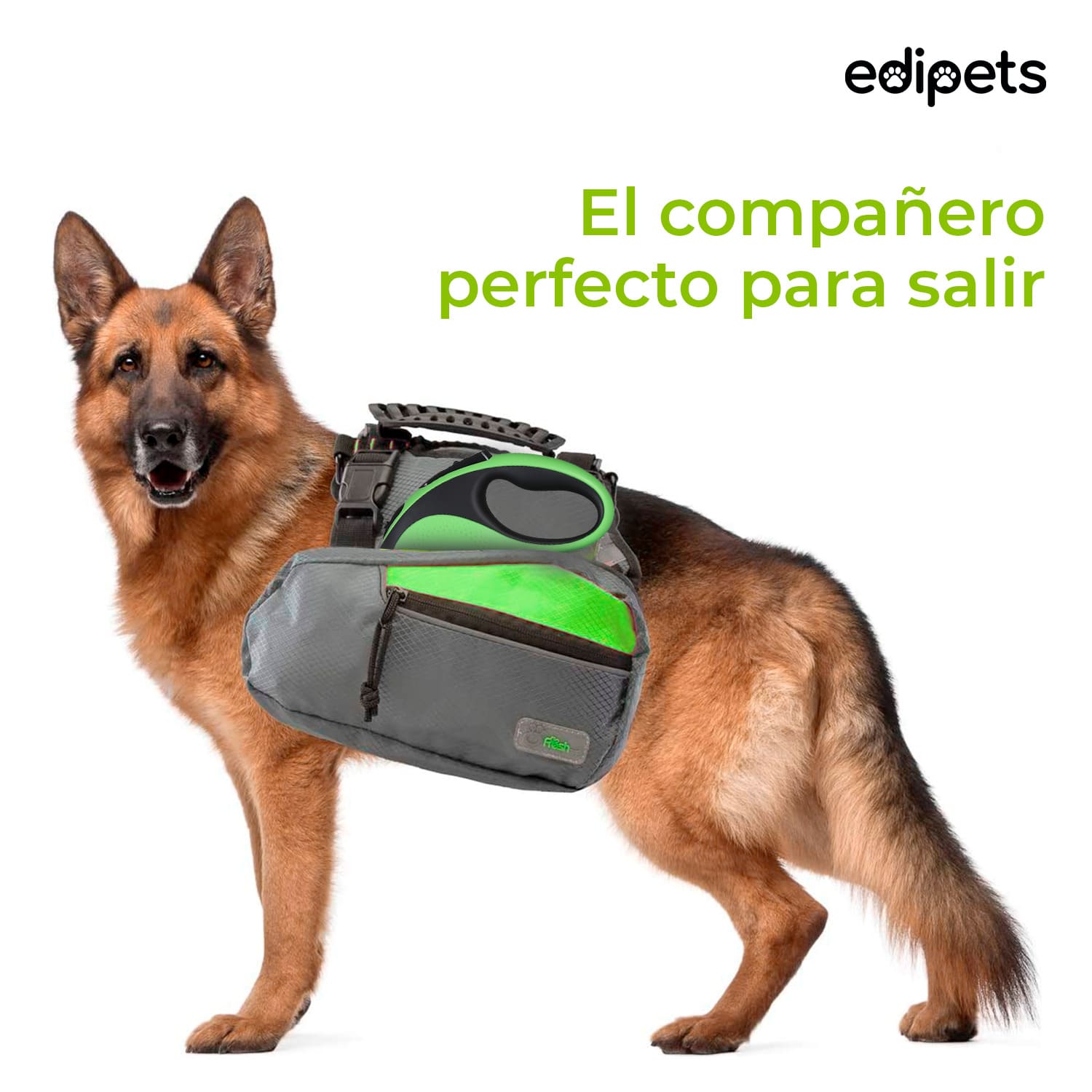 Guia ajustável e extensível para cães da Edipets, na cor verde.