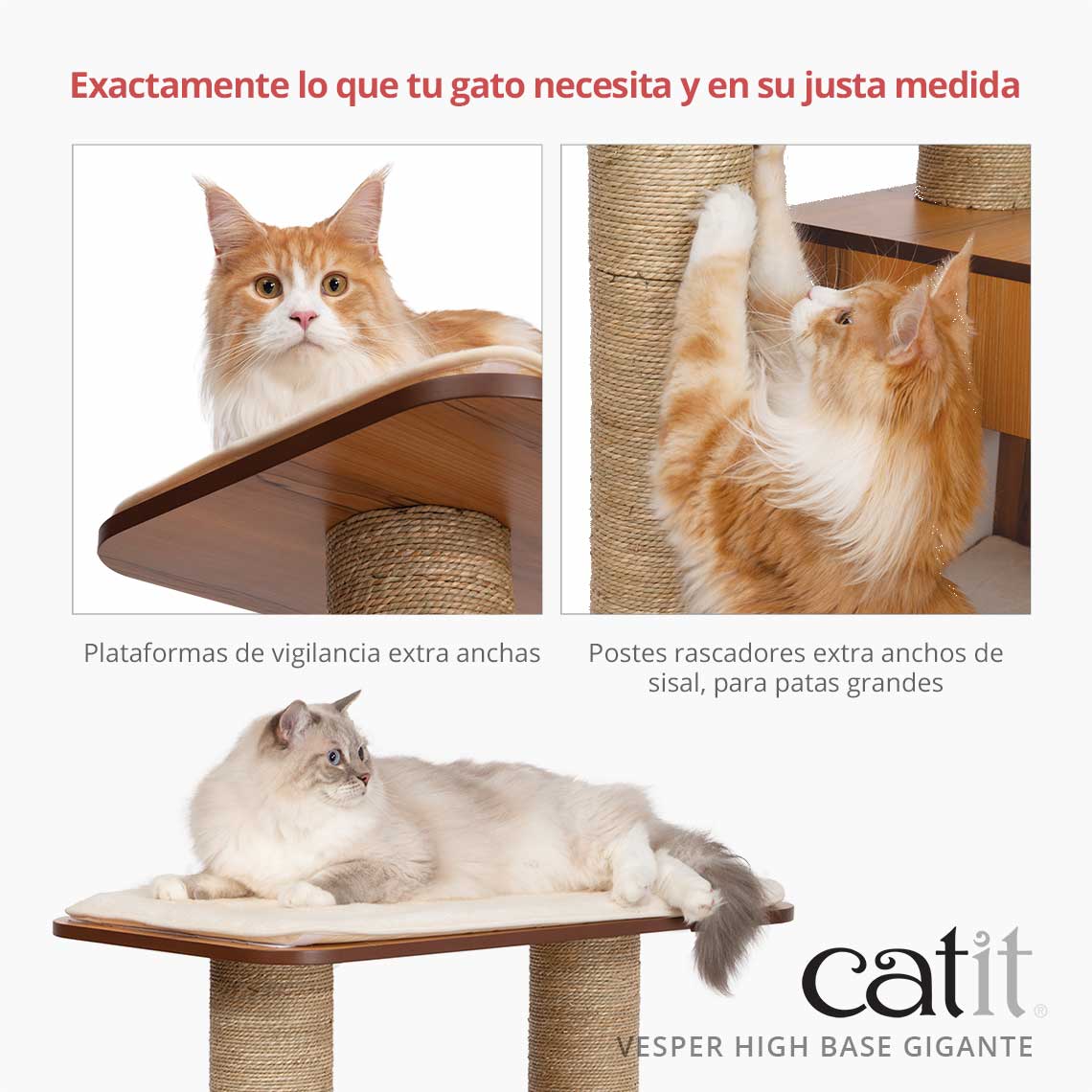 Base Gigante Alta Catit Vesper, Carvalho