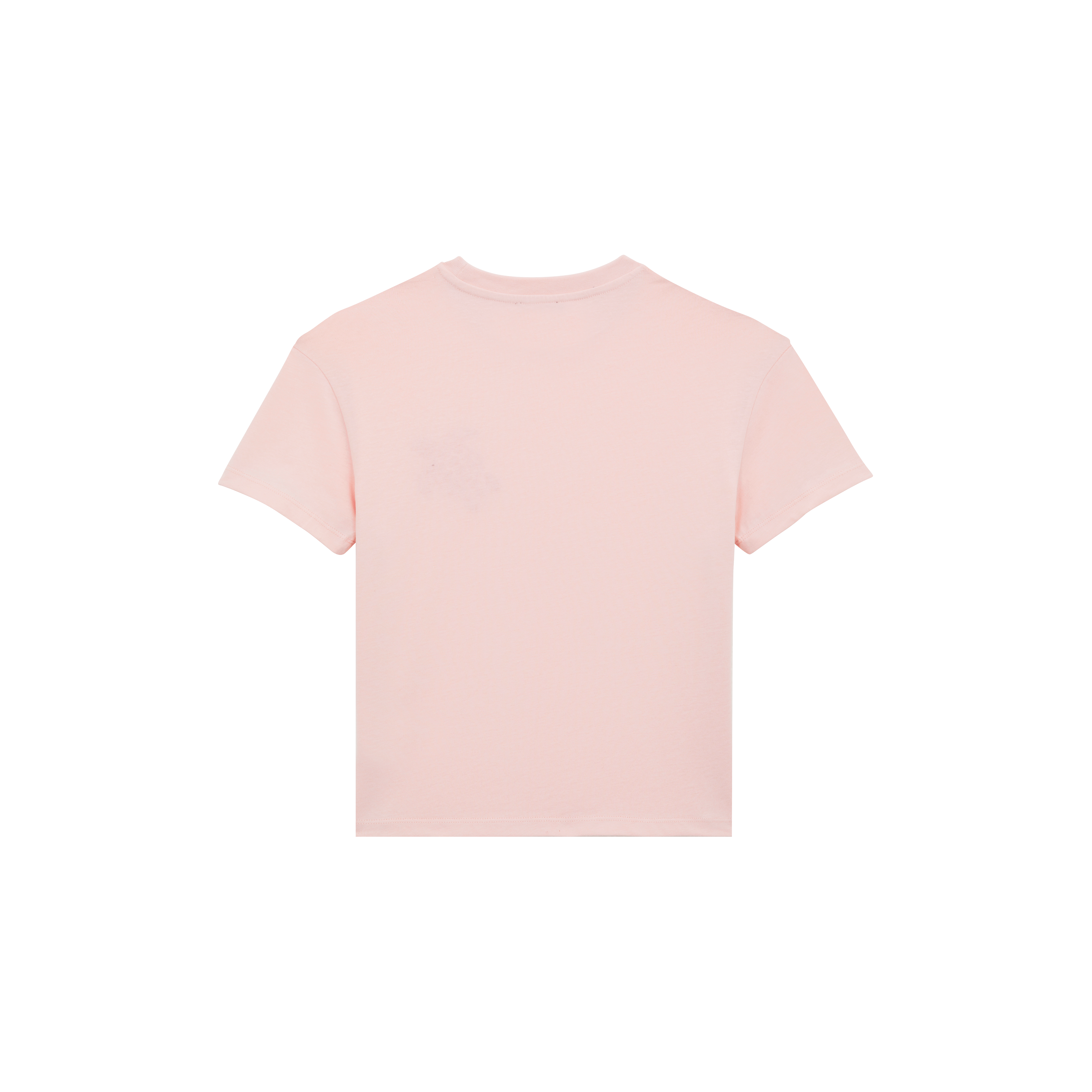 T-shirt en coton organique garçon Tortue brodée