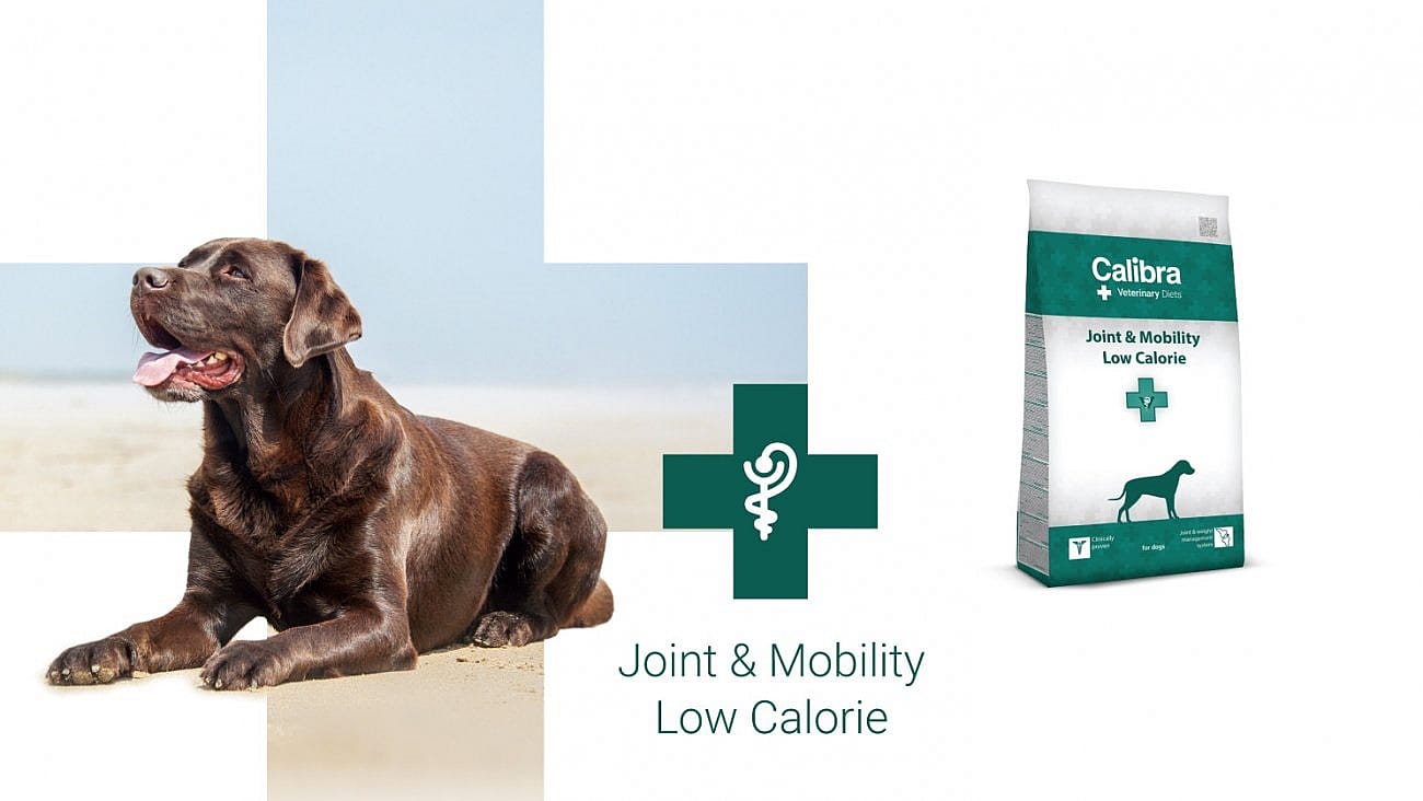 Calibra Dog Veterinary Diets Joint and Mobility Low Calorie | 12 kg | 11781.1