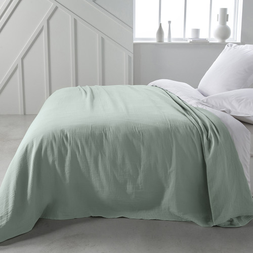 Today - GALINE - Celadon