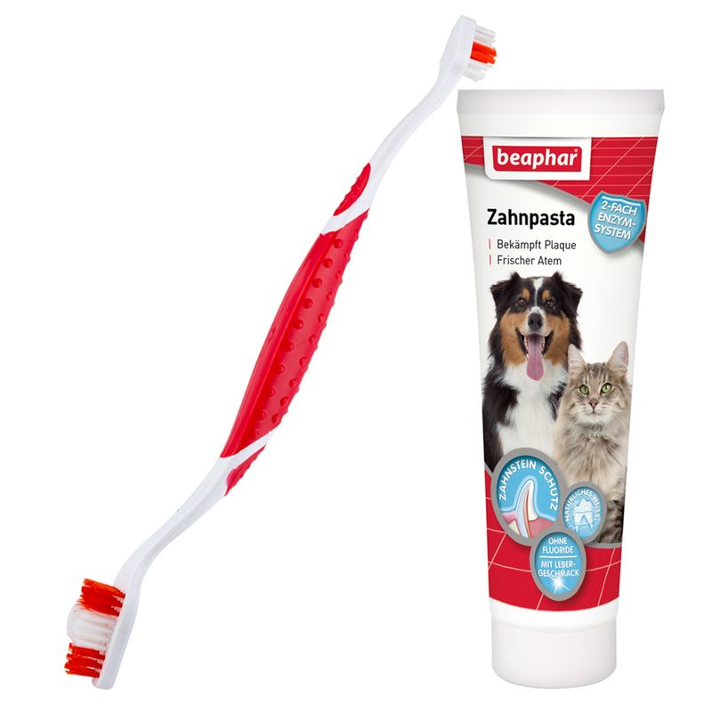 Lot brosse à dents et dentifrice beaphar Dog-A-Dent à prix discount sur bitiba.fr
