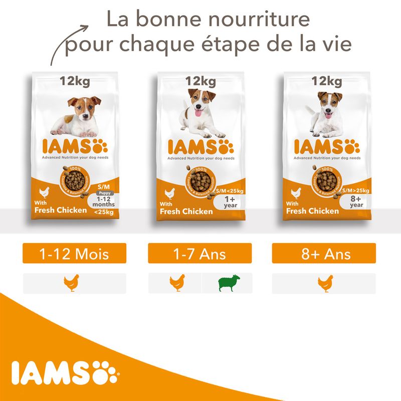 IAMS Advanced Nutrition Puppy Small & Medium poulet