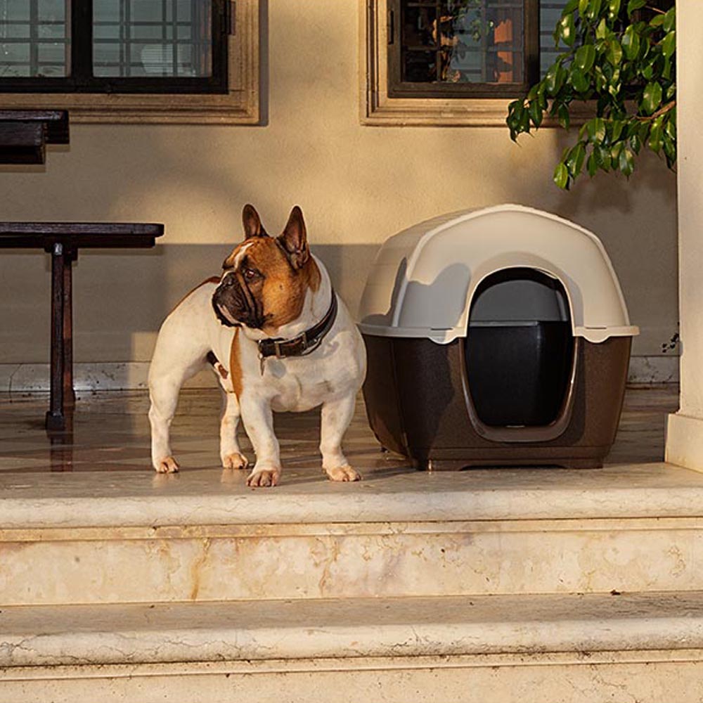 Ferplast niche d'extérieur pour chiens kenny 01, habitat pour chiens en résine thermo-plastique, résistant aux chocs et rayons uv,