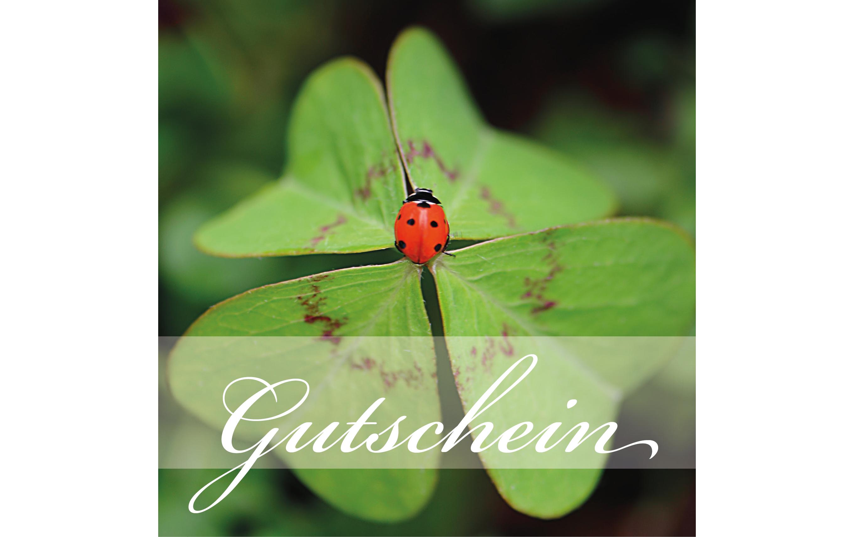 Gutscheinkarte Marienkäfer 14.5 x 14.5 cm, 6 StückUniversal-Gutschein