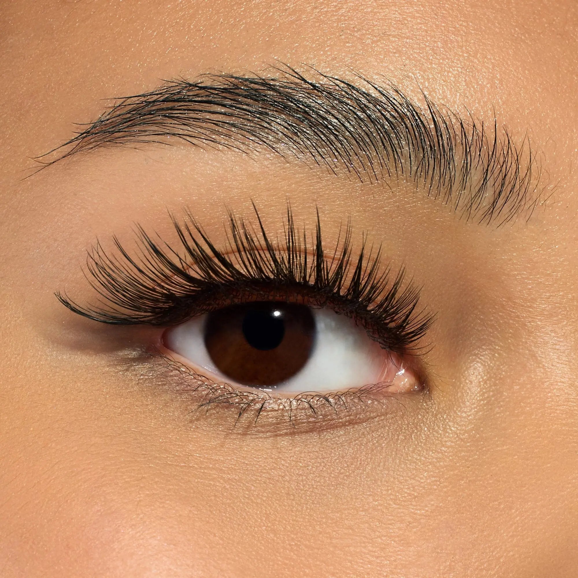 Cateyes! False Lashes 01 Catwalk