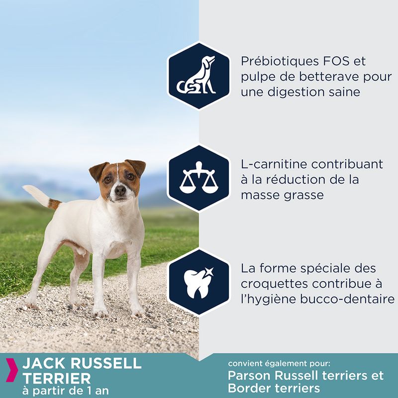 Eukanuba Adult Breed Specific Jack Russell Terrier à prix discount sur bitiba.fr