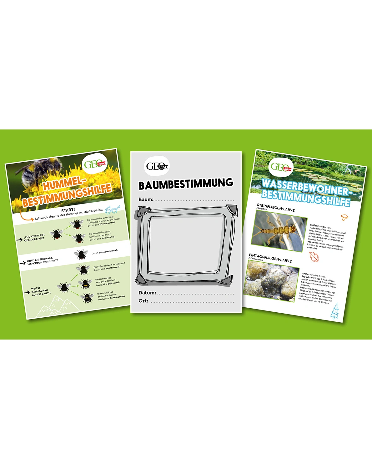 Experimentierkasten GEOLINO - NATUR ENTDECKEN UND ERFORSCHEN