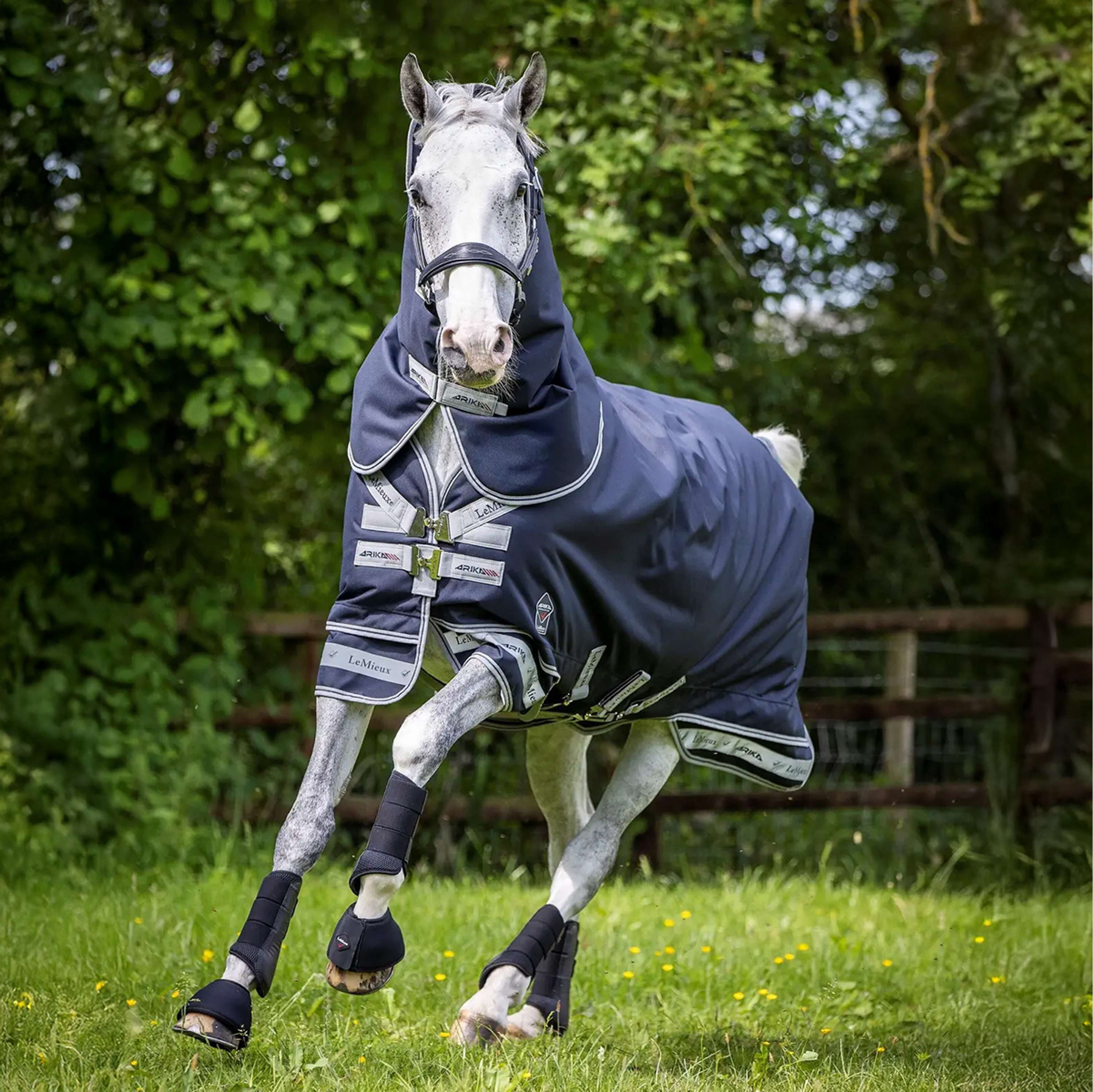 LeMieux Deken Arika Storm-Tek Turnout 200g Navy