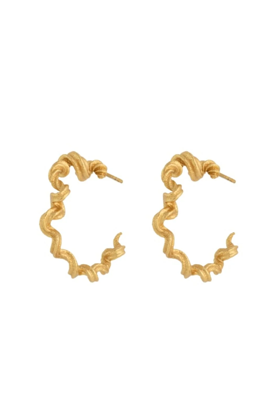 House Of Vincent Alchemy Hoop Earrings