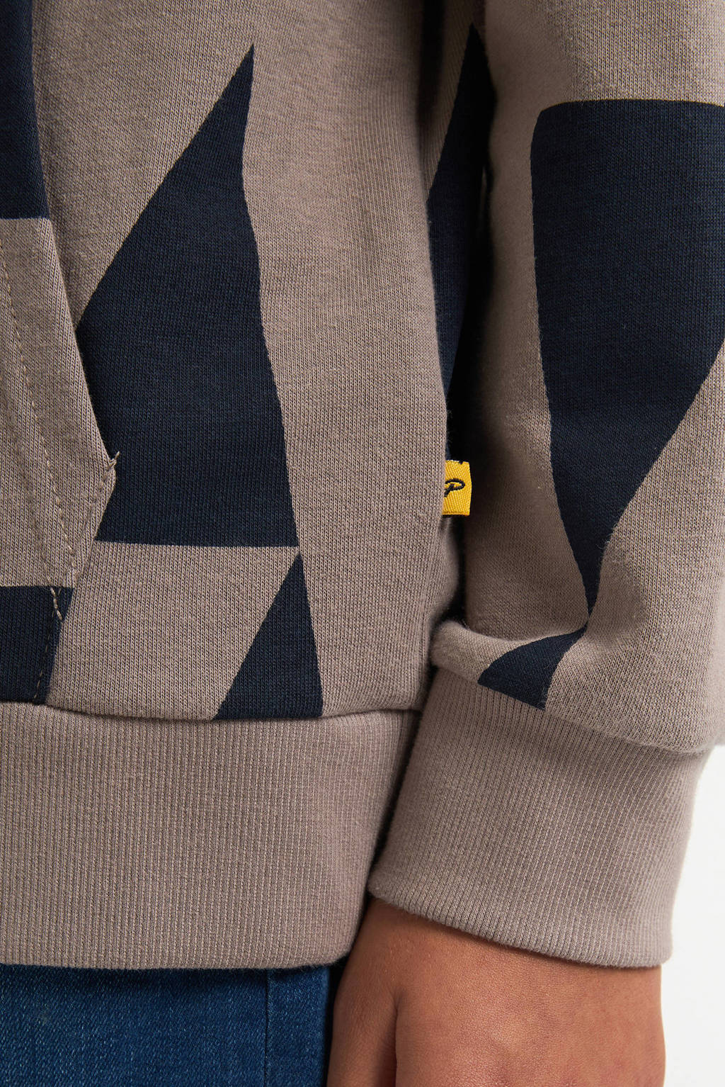 Petrol Industries hoodie bruin