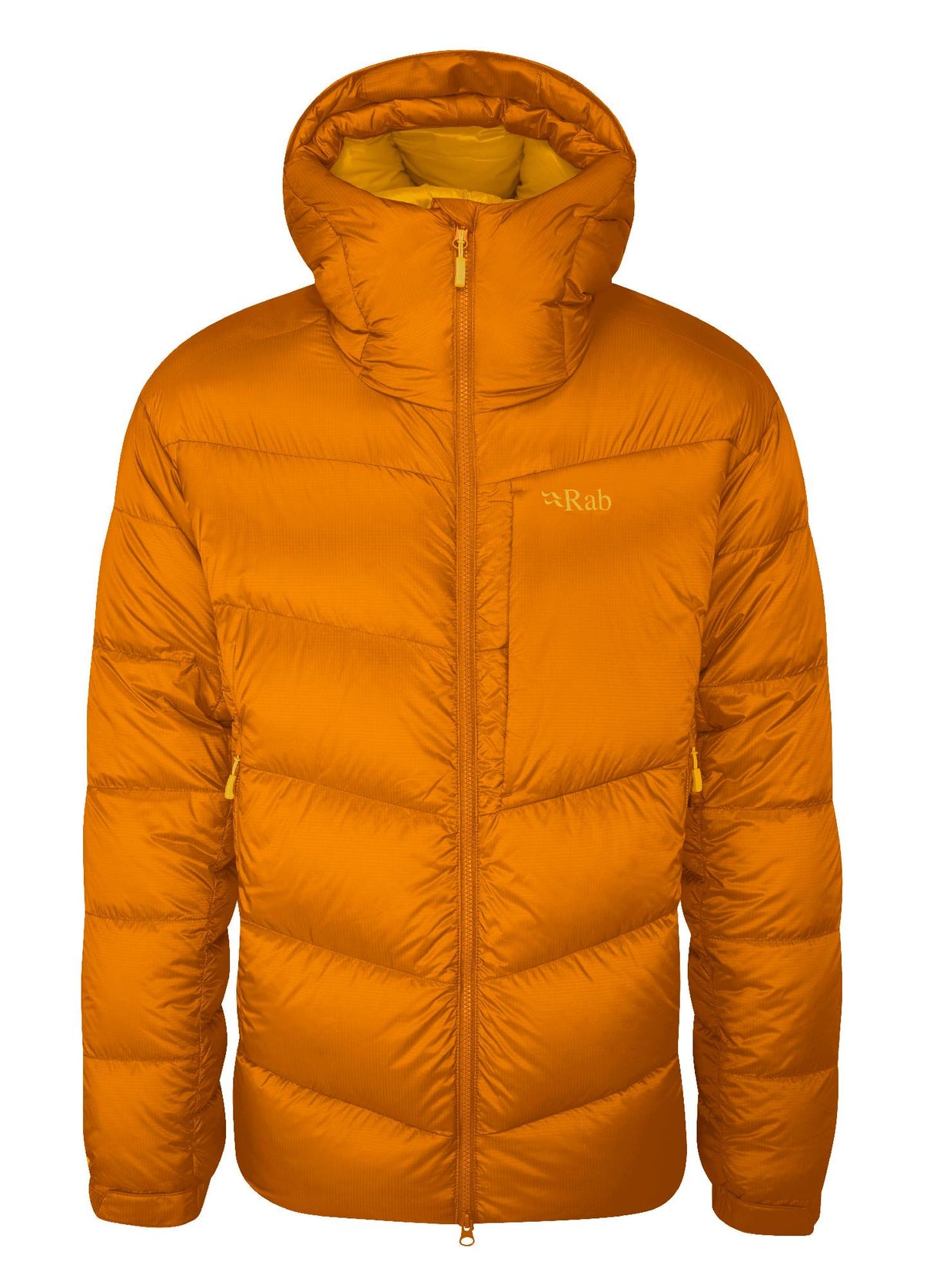 Rab<br>Positron Pro